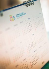 organizador-asafan-1